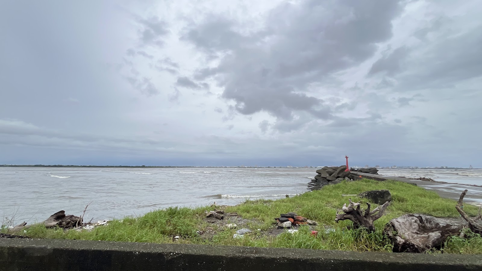 高屏溪出海口岸邊綠地與漂流木，陰天河口生態景觀