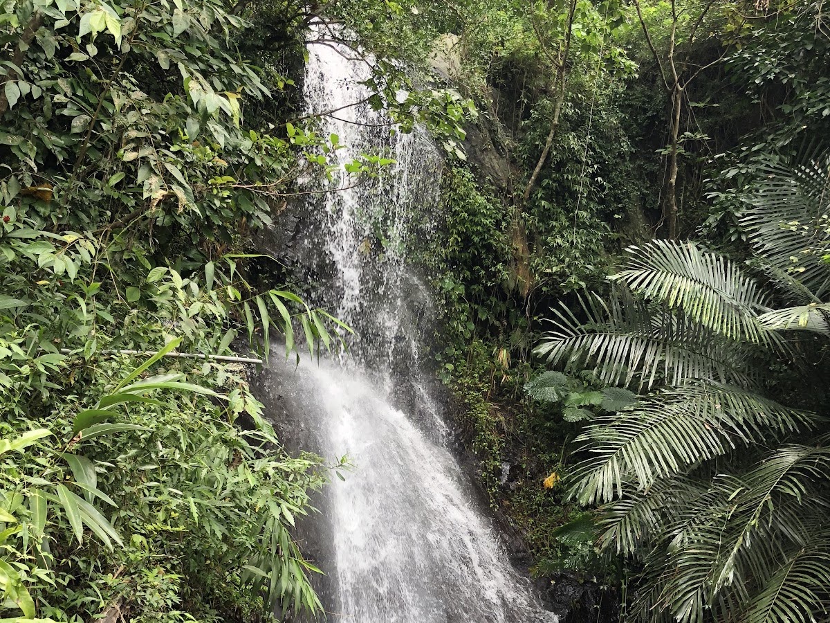 葫蘆谷瀑布清澈水流傾瀉而下,高雄六龜在地秘境景點