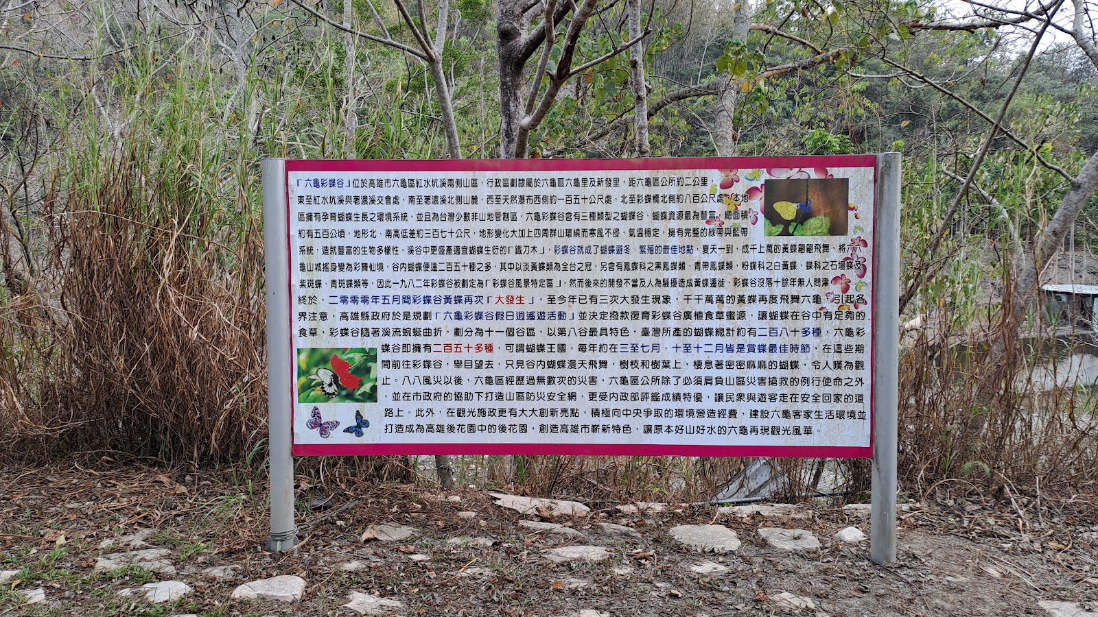 彩蝶谷生態解說立牌