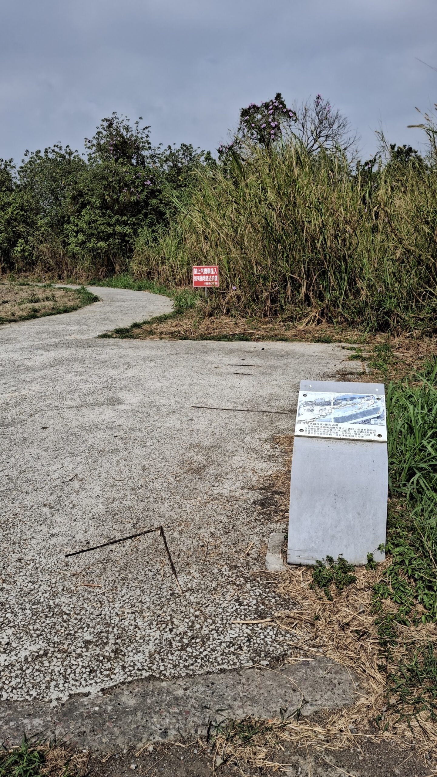 公園步道現況雜草較多