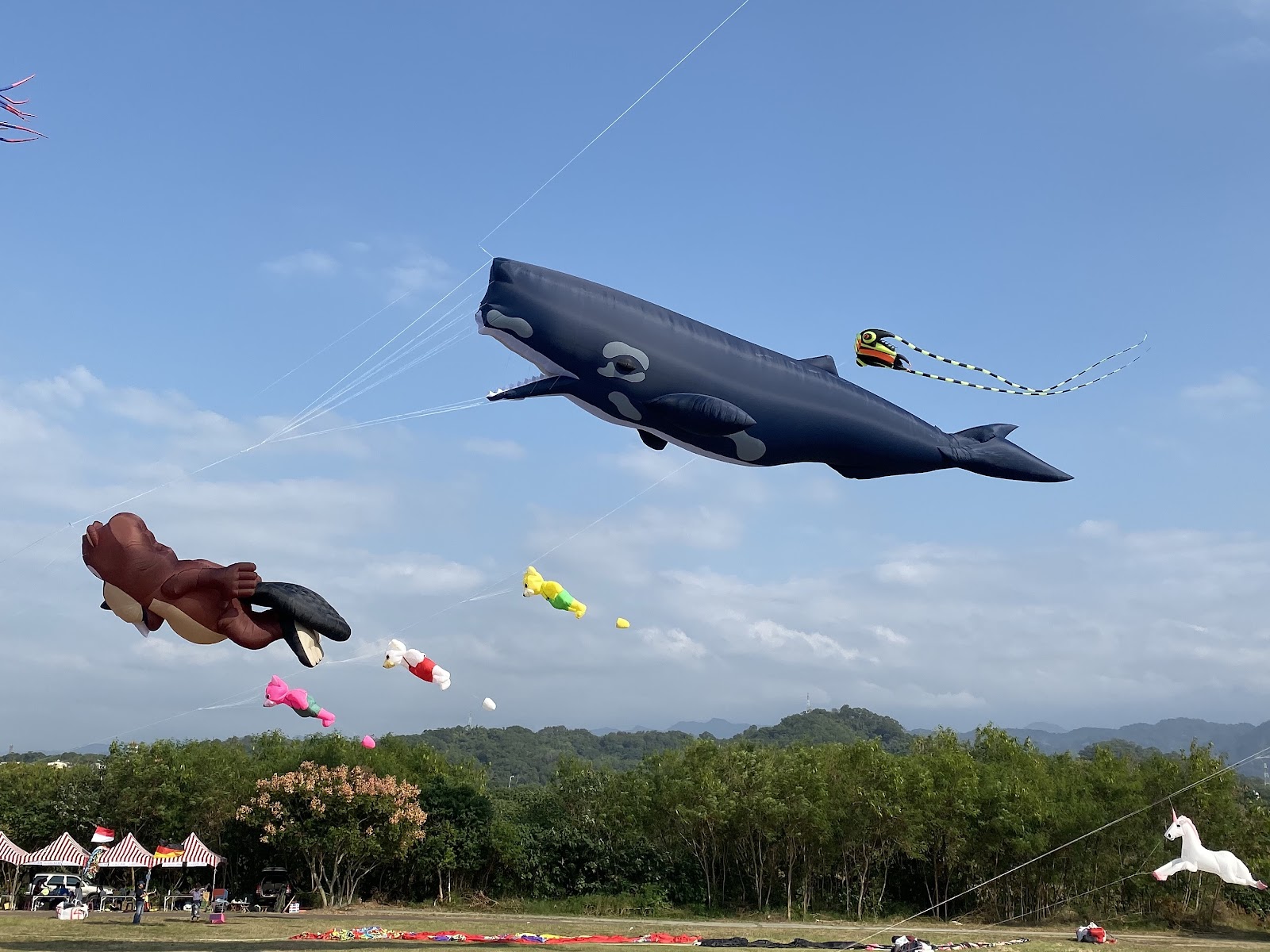 後龍溪河濱公園空拍，草地上停滿巨型造型軟體風箏與河岸綠地
