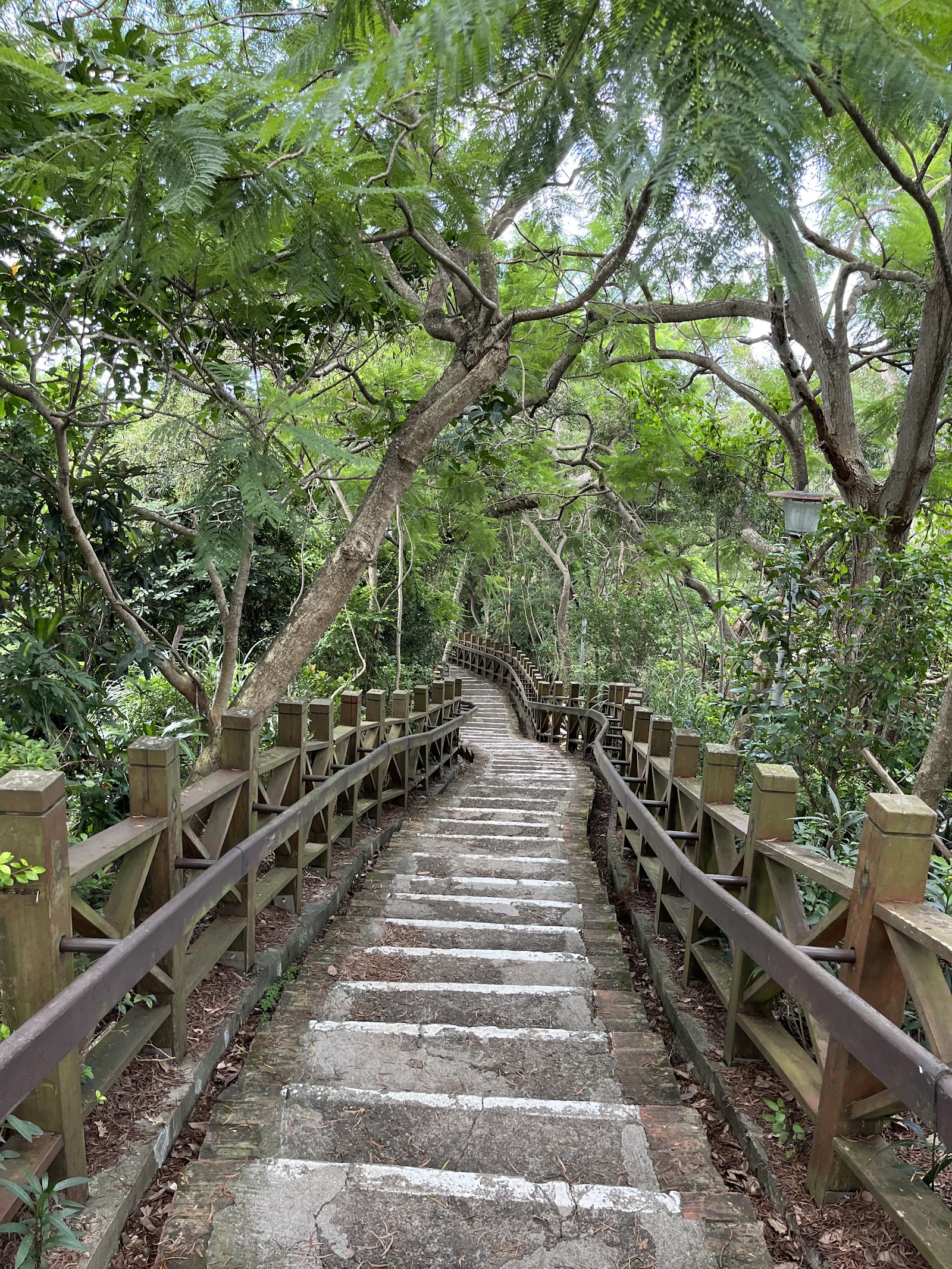 南竿雲台山軍情館林間木棧道階梯步道