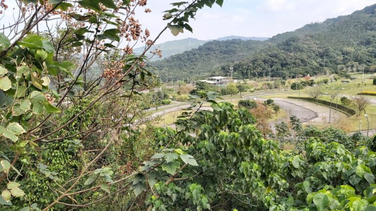 居高臨下穿過樹叢望向山水綠生態公園環形車道與遠方青山層疊