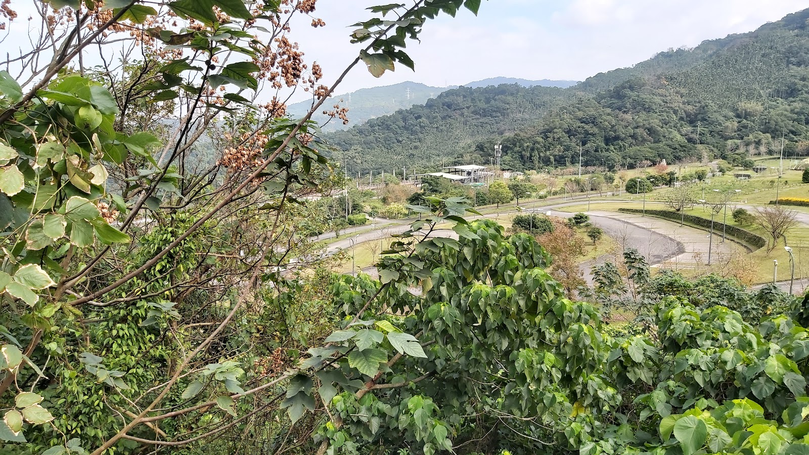 居高臨下穿過樹叢望向山水綠生態公園環形車道與遠方青山層疊