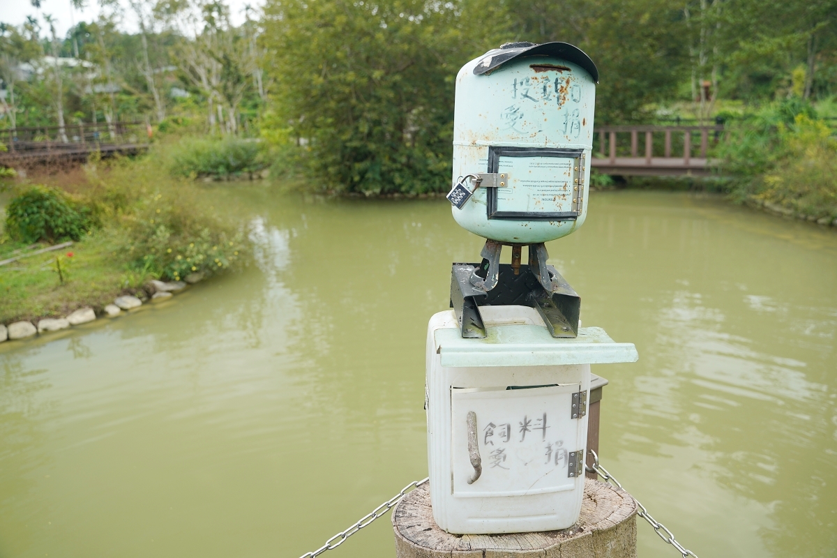 漫心湖公園餵魚飼料箱與木橋