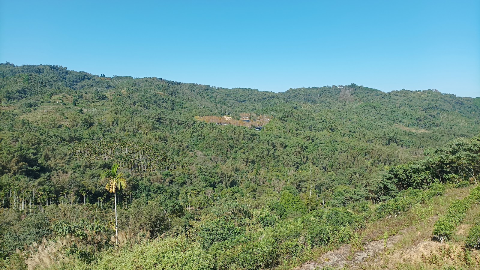 澀水社區觀景台遠眺山景