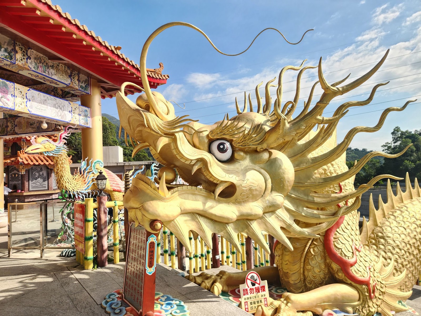 金龍山法華寺金龍雕像特寫