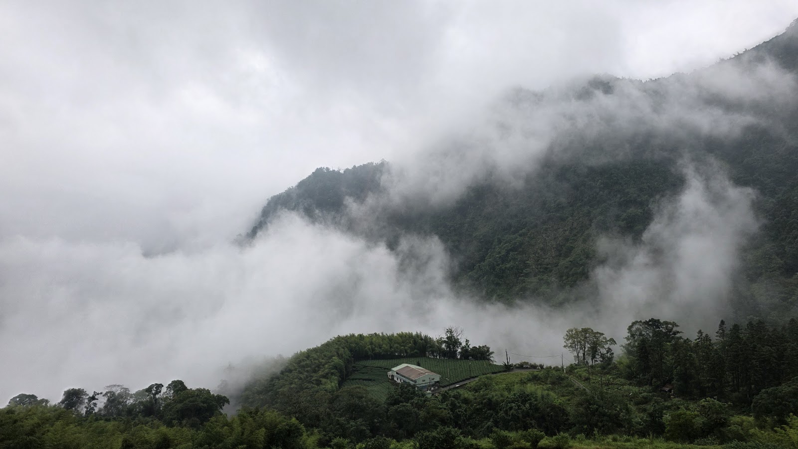 照鏡山茶園雲霧繚繞山景