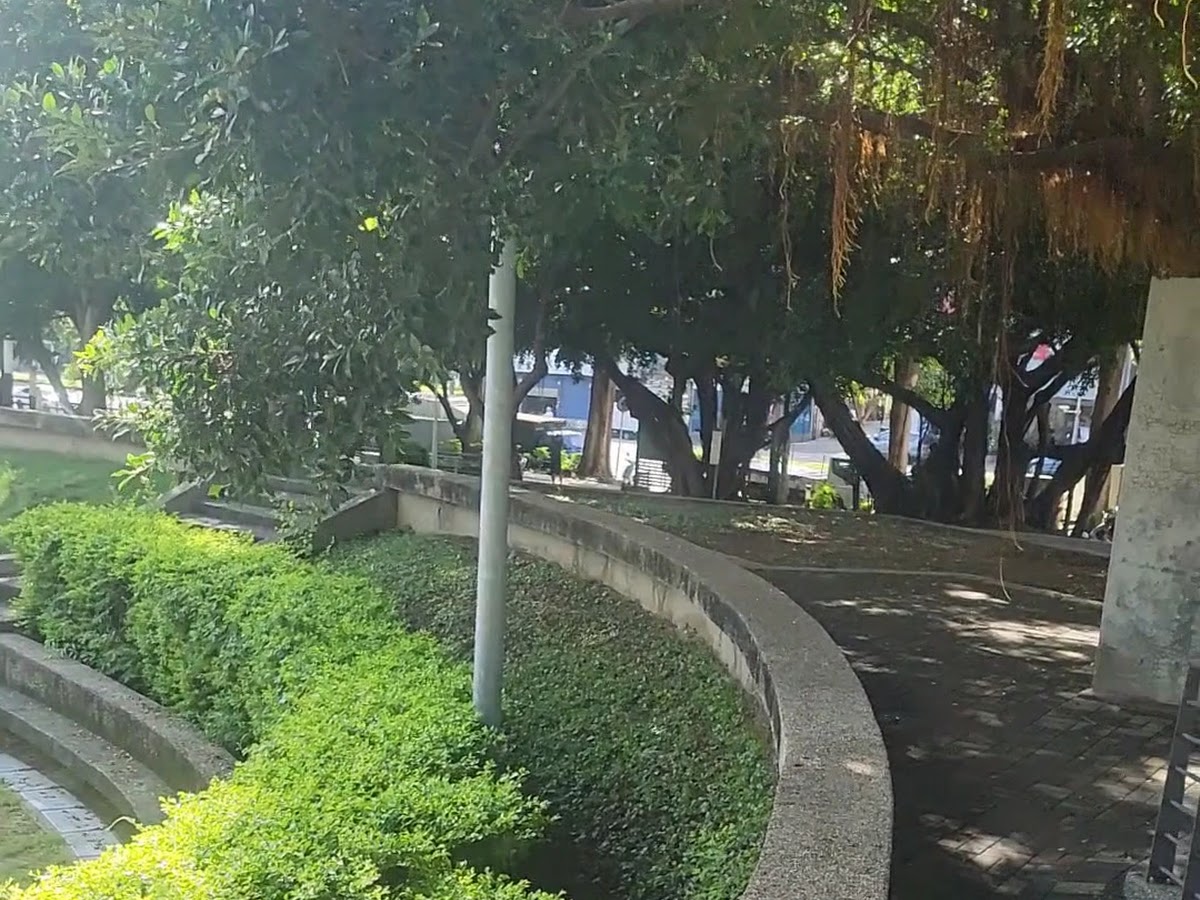 楠梓碉堡公園榕樹氣根垂墜,蜿蜒步道