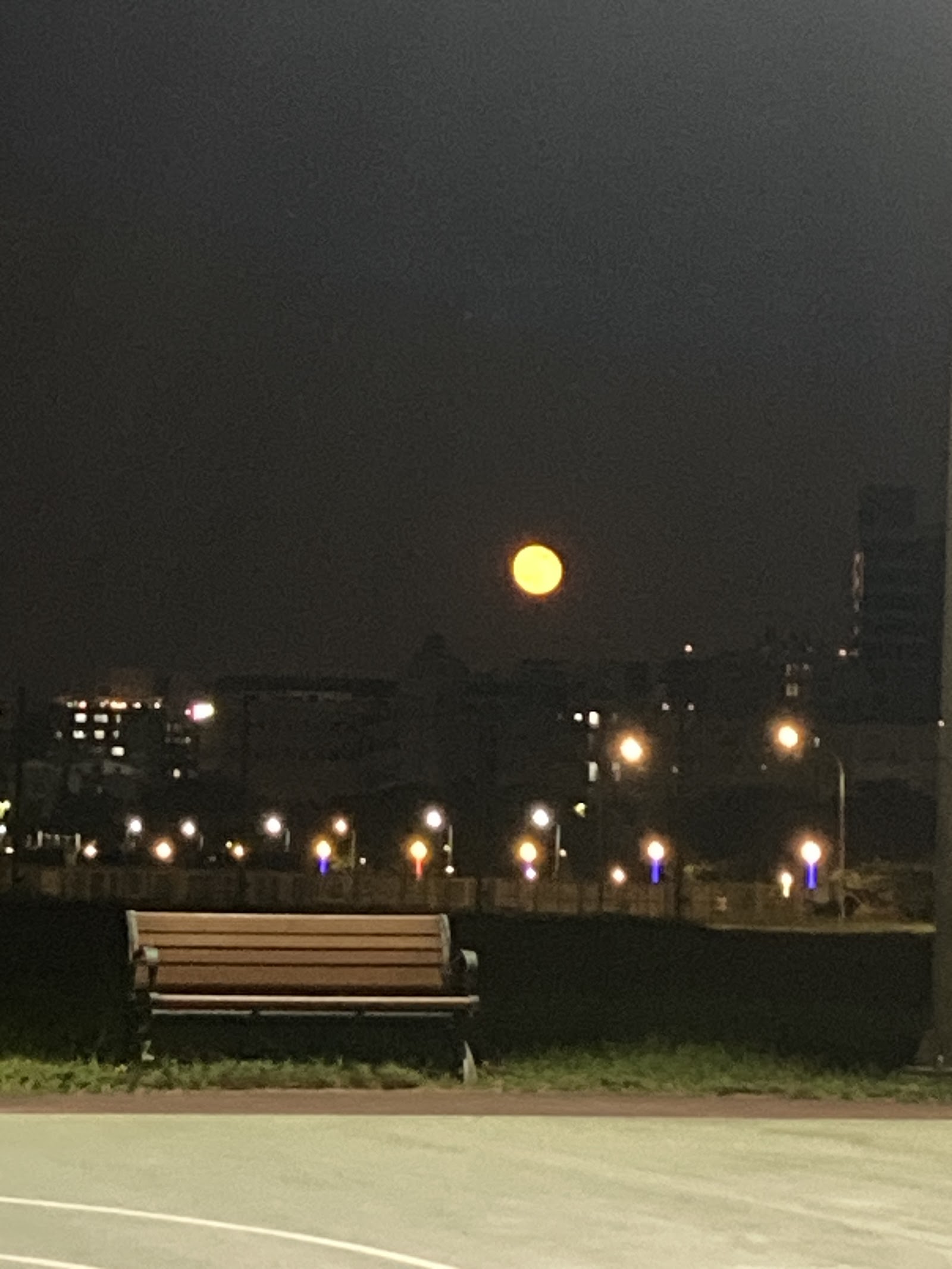 夜晚河濱公園長椅旁明月升起,城市燈火點點