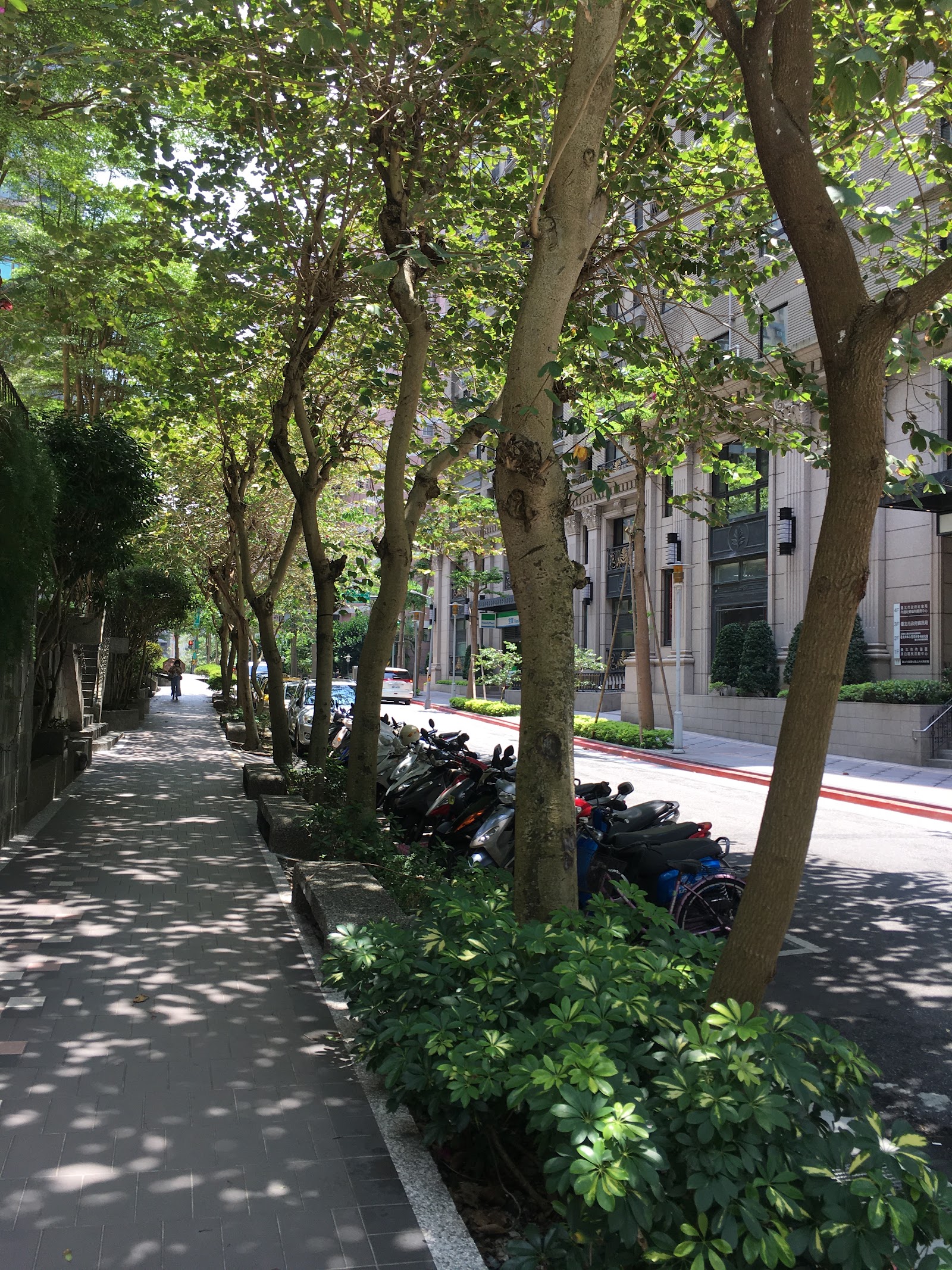清白公園：藏身住宅區巷弄間的林蔭步道，十分鐘內就能悠閒走完一圈