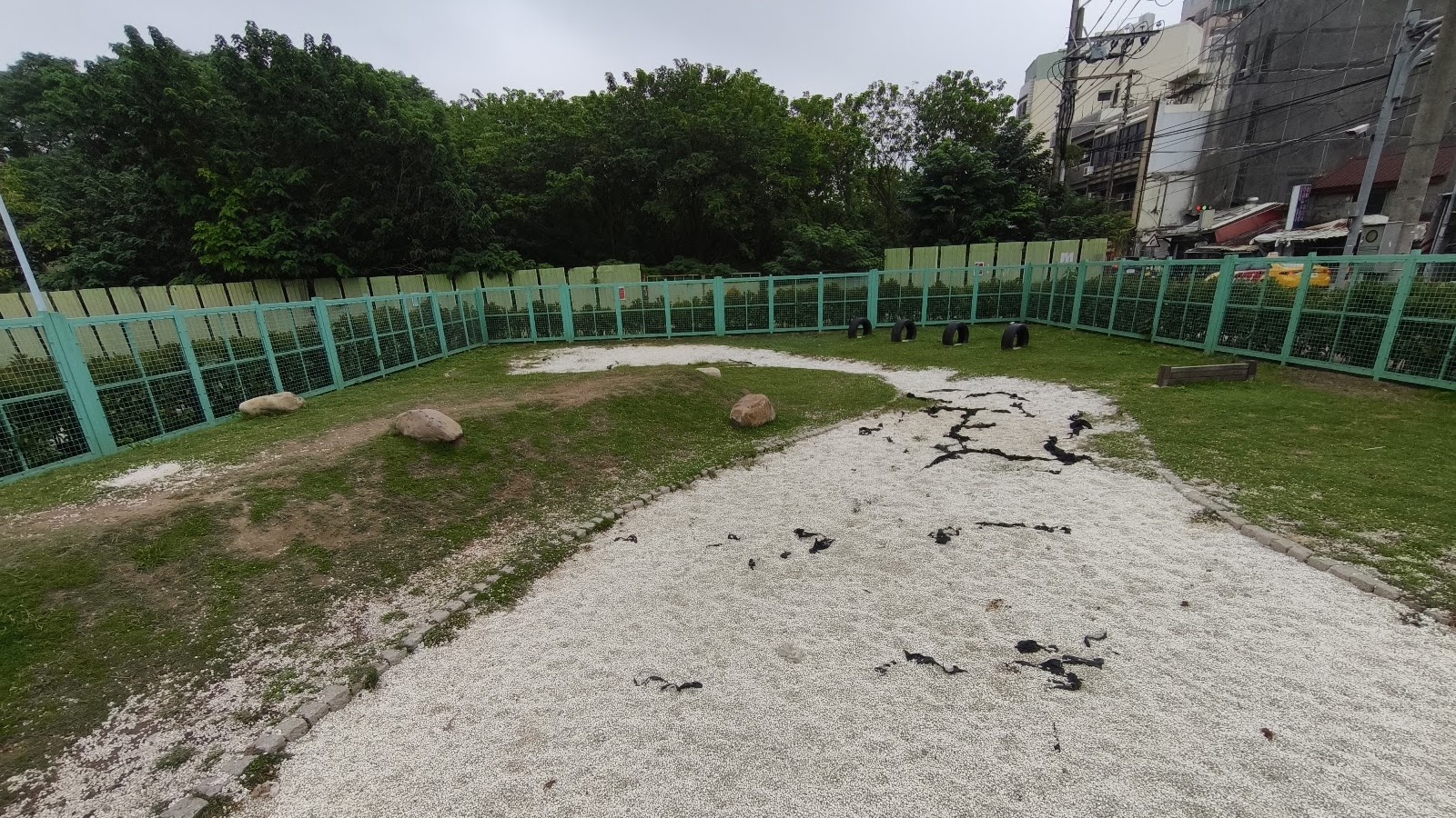興仁親子公園狗狗友善寵物公園圍籬區，碎貝殼鋪面與大石造景