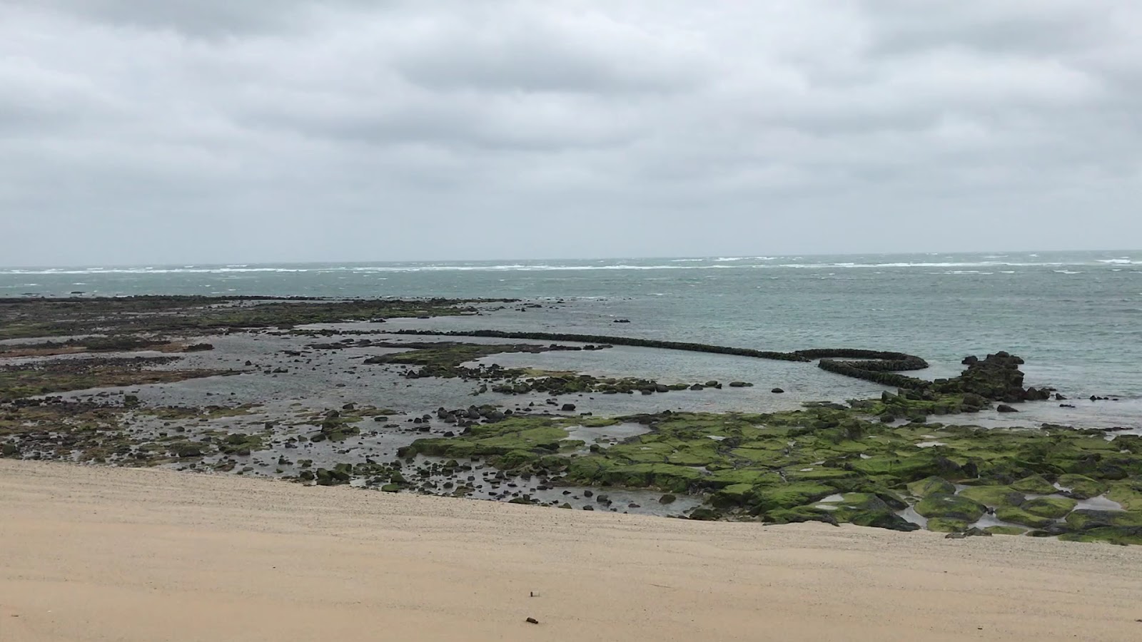 菓葉觀日樓旁沙灘潮間帶海岸,佈滿玄武岩與海藻