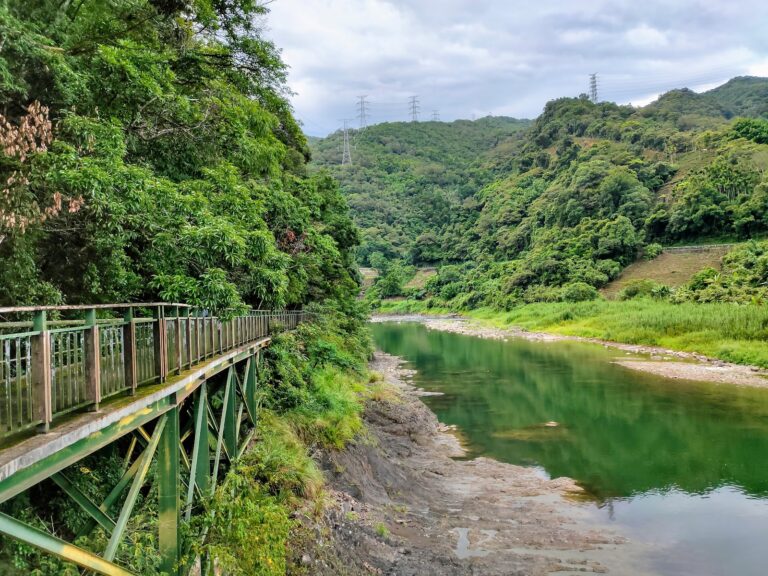 綠色高架觀魚步道沿著清澈碧綠溪水延伸，對岸山巒層疊