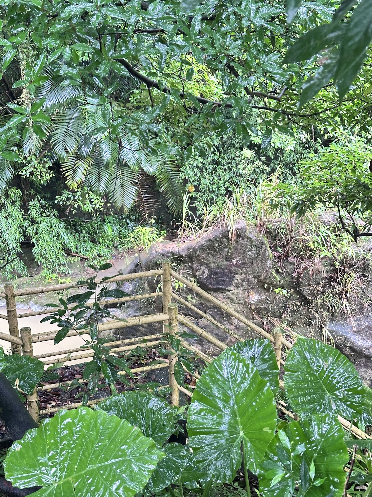 鯉魚潭河澗親水空間竹籬棧道,通往溪邊戲水區