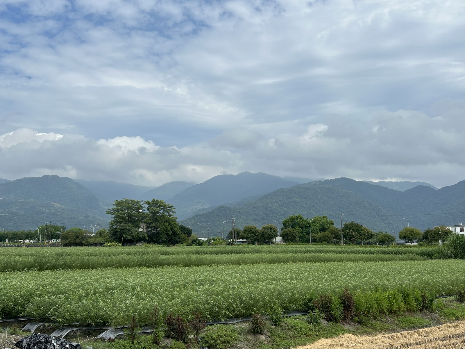 青出宜蘭三星創生基地遼闊青蔥牧草田地與中央山脈稜線