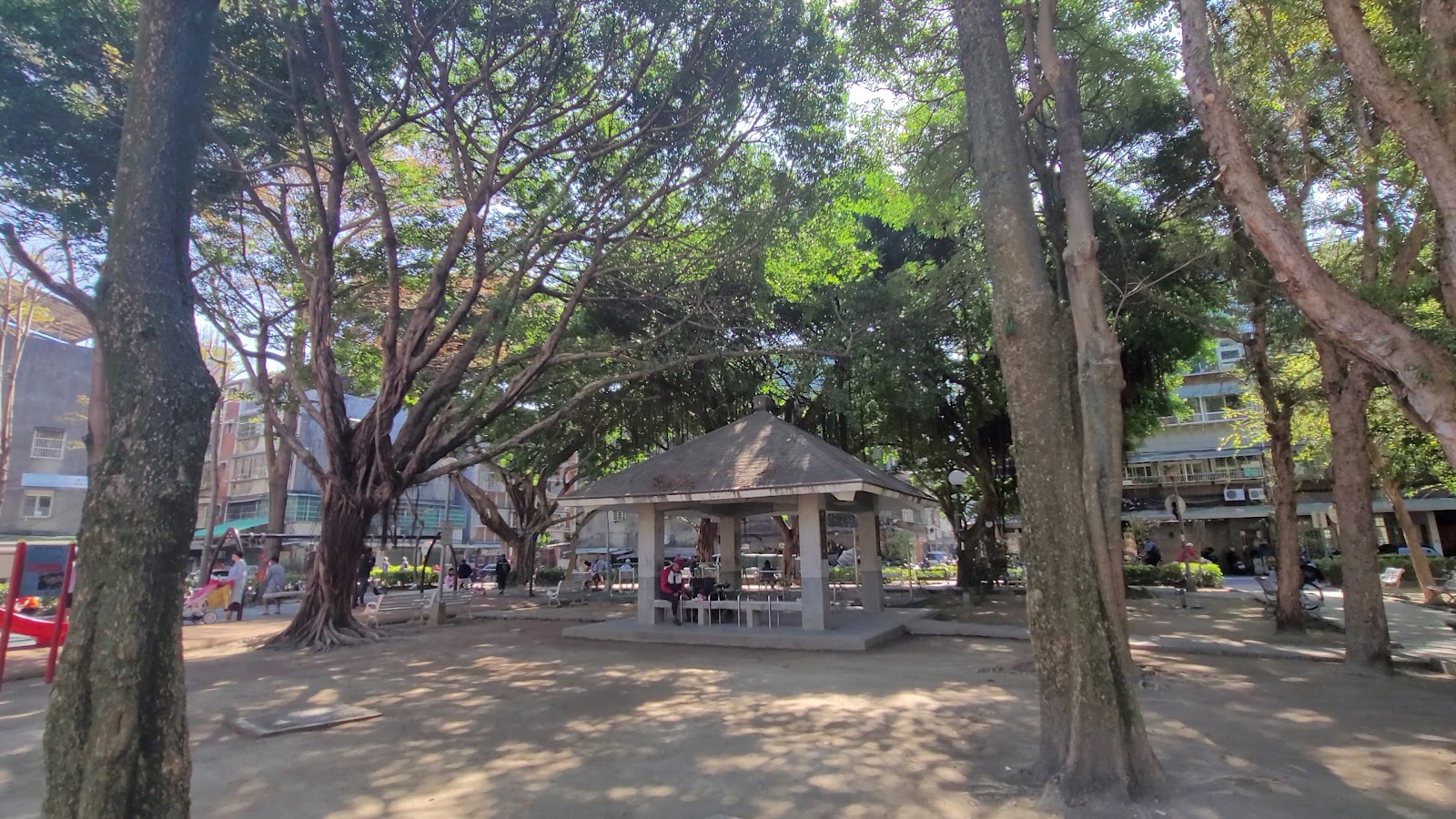 六張公園白天老榕樹林蔭下的白色涼亭,地面鋪碎石,遠景可見民眾休憩與兒童遊戲區紅色滑梯
