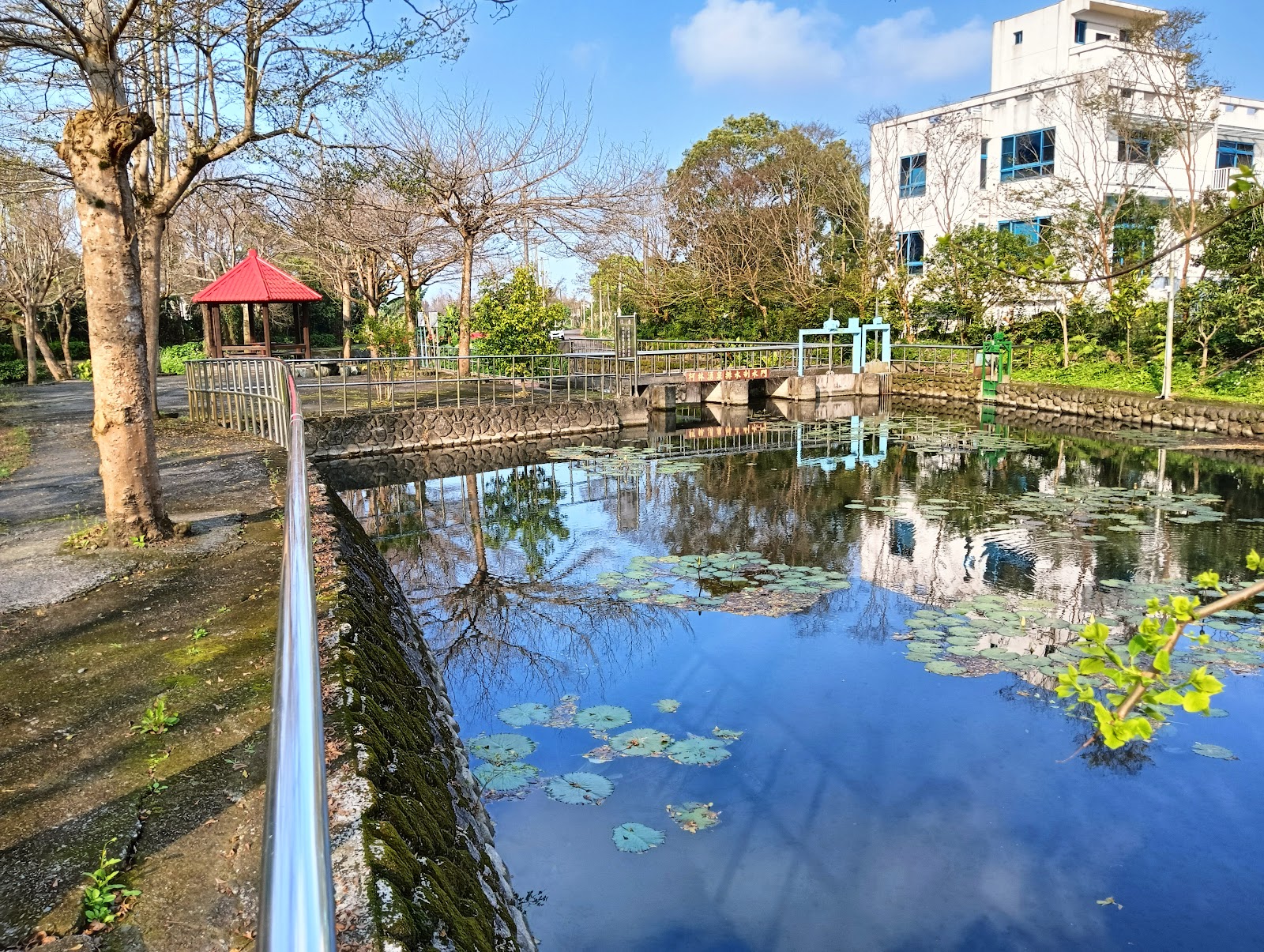 柯林湧泉生態圳路教育園區生態池與紅頂涼亭倒影