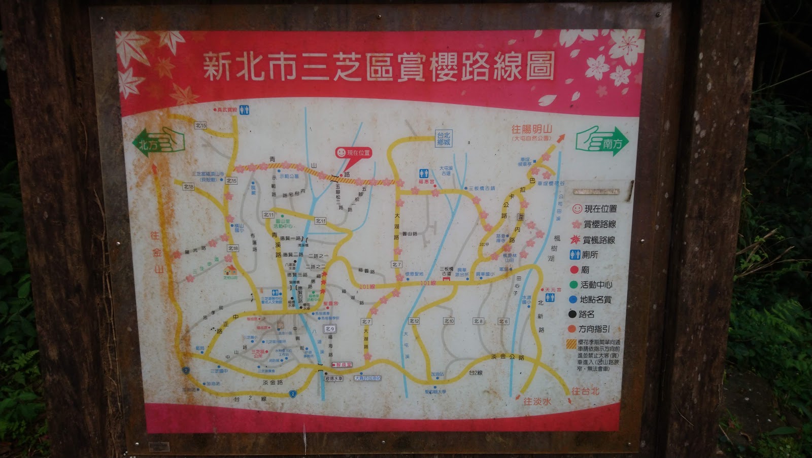 三芝區賞櫻路線圖木製看板
