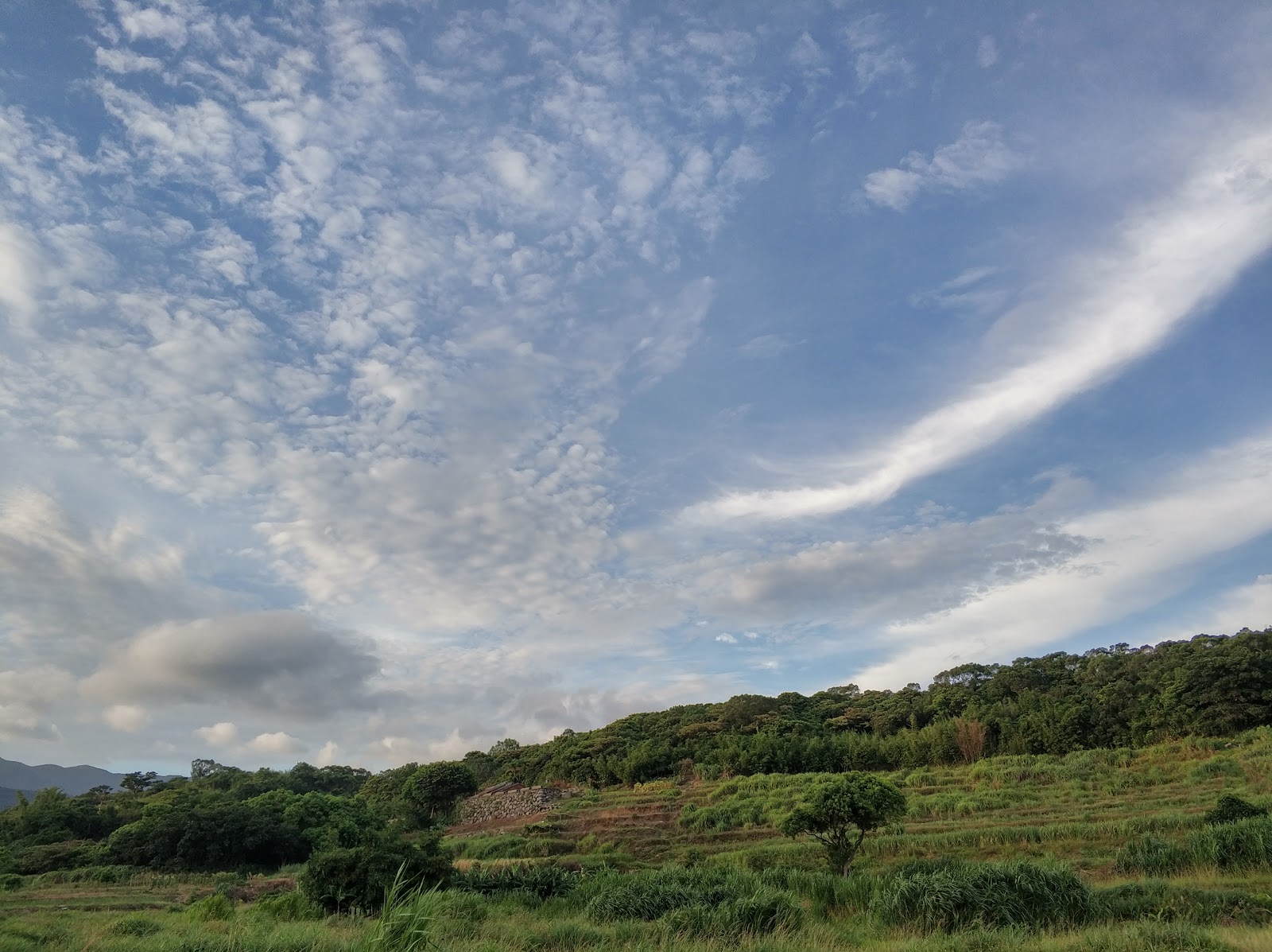 三生步道大坑溪畔梯田地景
