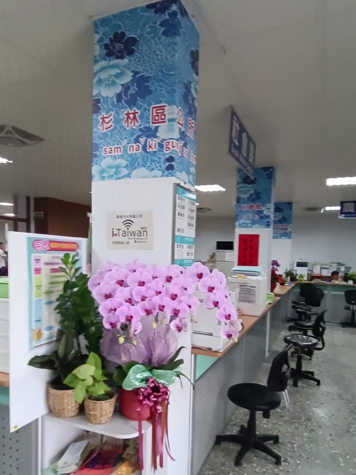杉林區公所服務櫃檯，蝴蝶蘭盆栽擺飾