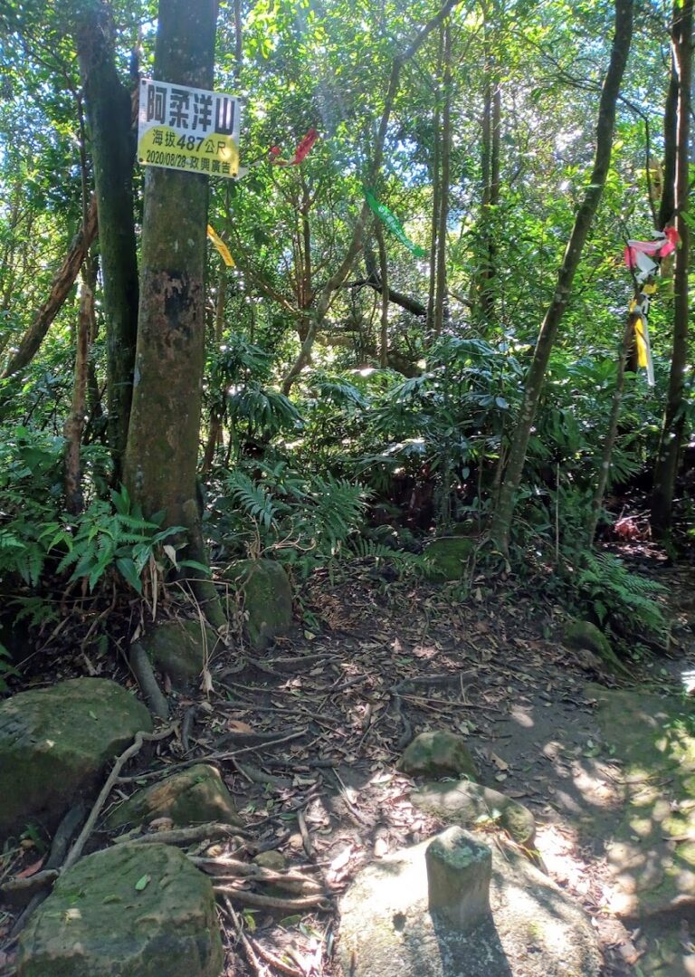 阿柔洋山山頂基石海拔487公尺