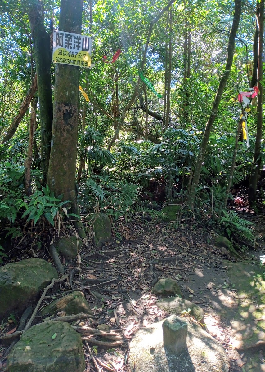 阿柔洋山山頂基石海拔487公尺