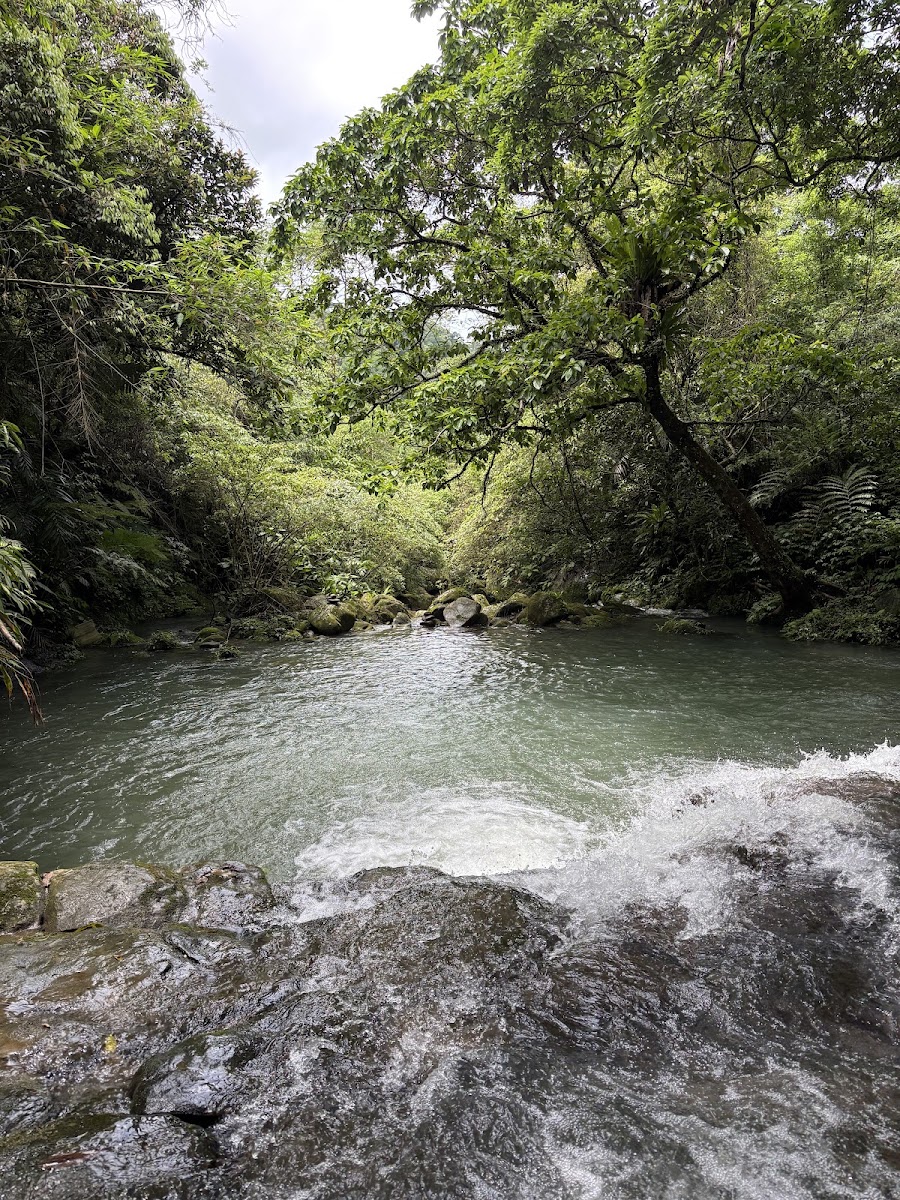 阿柔池小瀑布戲水口袋景點