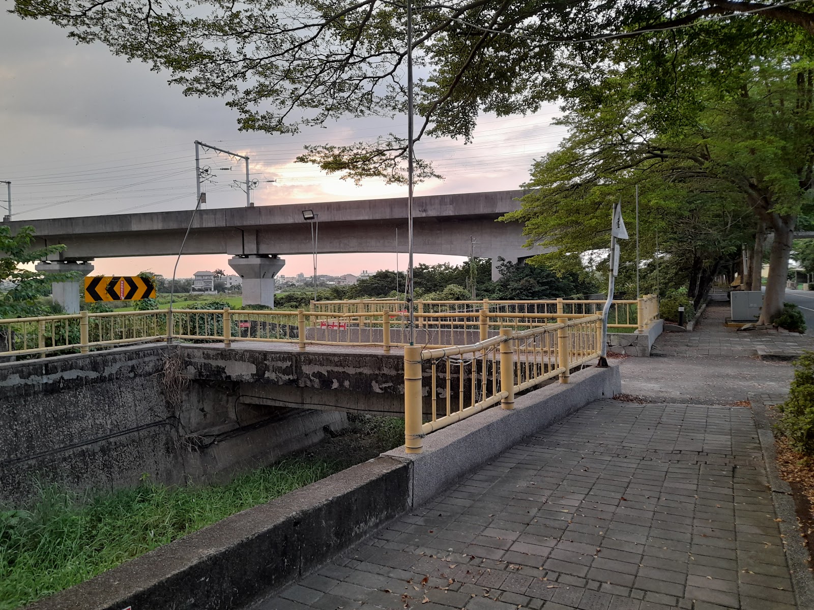 社頭杜鵑花大道平日綠意盎然的小葉欖仁林蔭步道