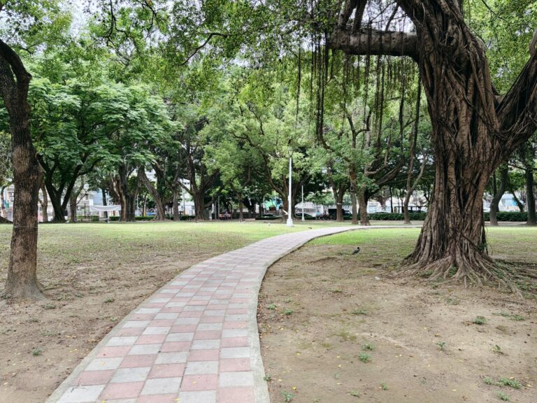 前港公園老榕樹氣根步道