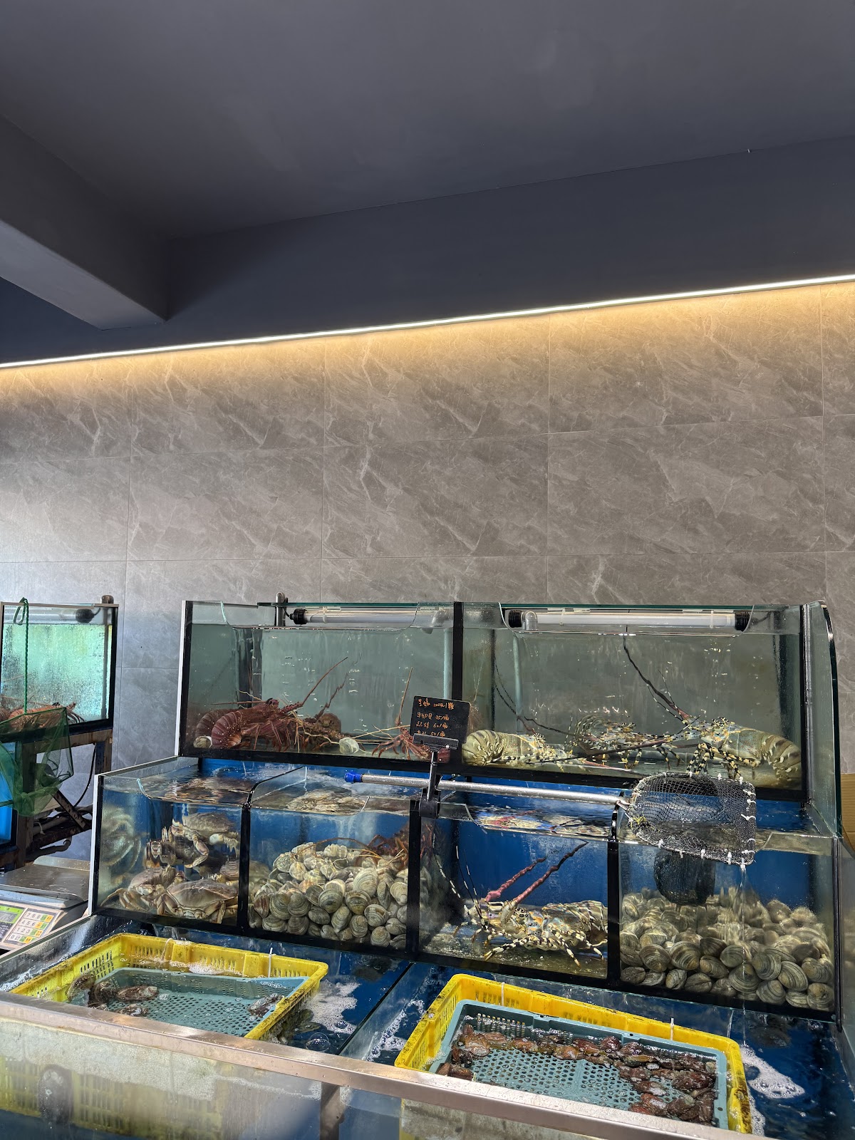 英芳餐廳店內活海鮮水族箱