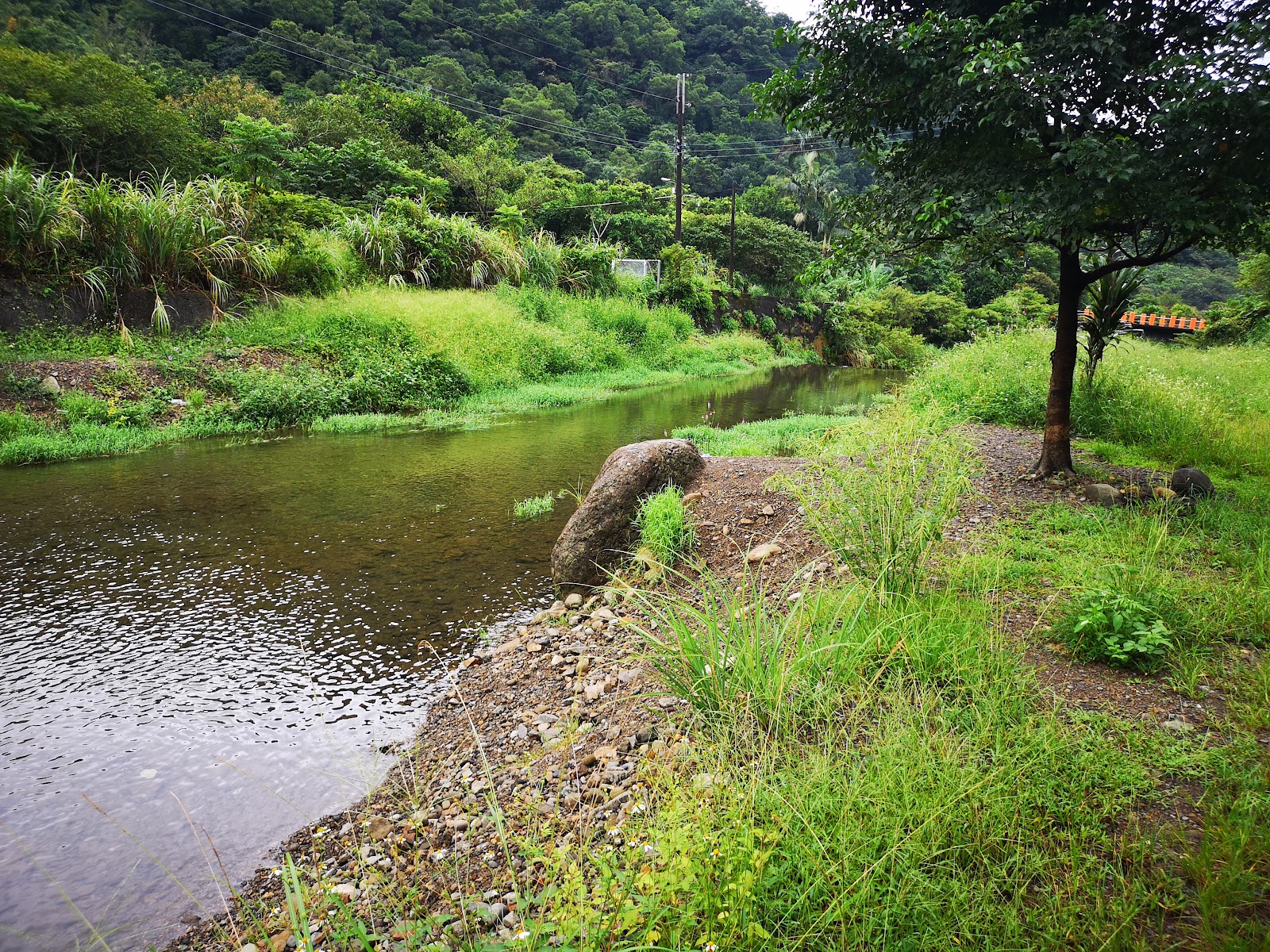 軟橋親水公園河畔草地與遠方紅色橋梁