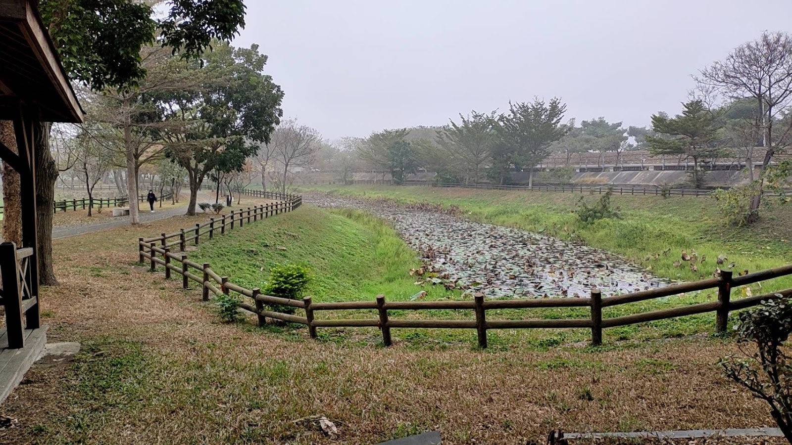溪東公園沿溪木柵步道，清晨薄霧中溪水與草地相映