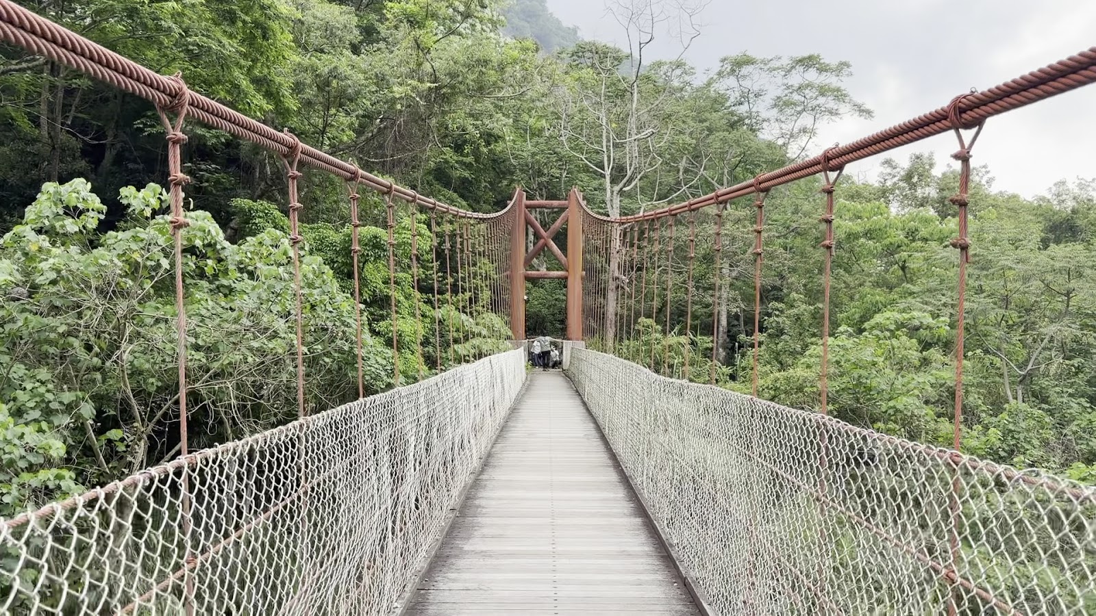 水雲吊橋鋼索與木棧道視角