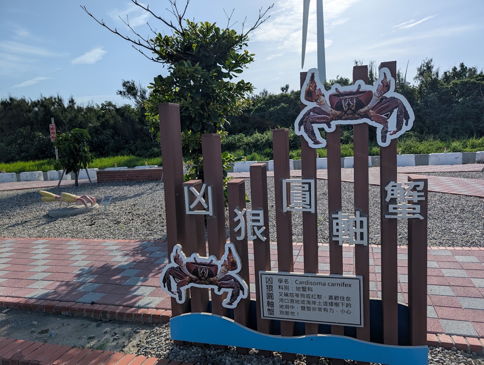 頂安社區濱海生態公園凶狠圓軸蟹解說立牌螃蟹裝置藝術風力發電機