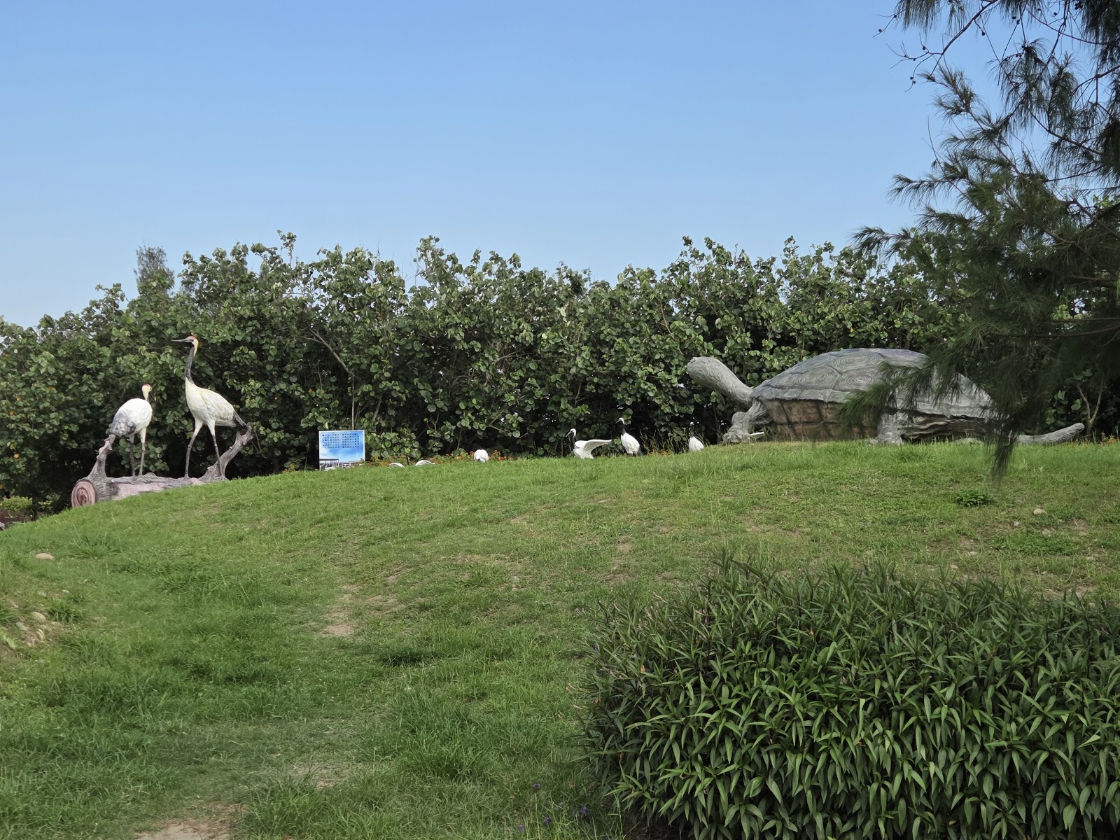 龜殼生態公園草坡上丹頂鶴白鷺鷥雕像與大烏龜造型裝置藝術