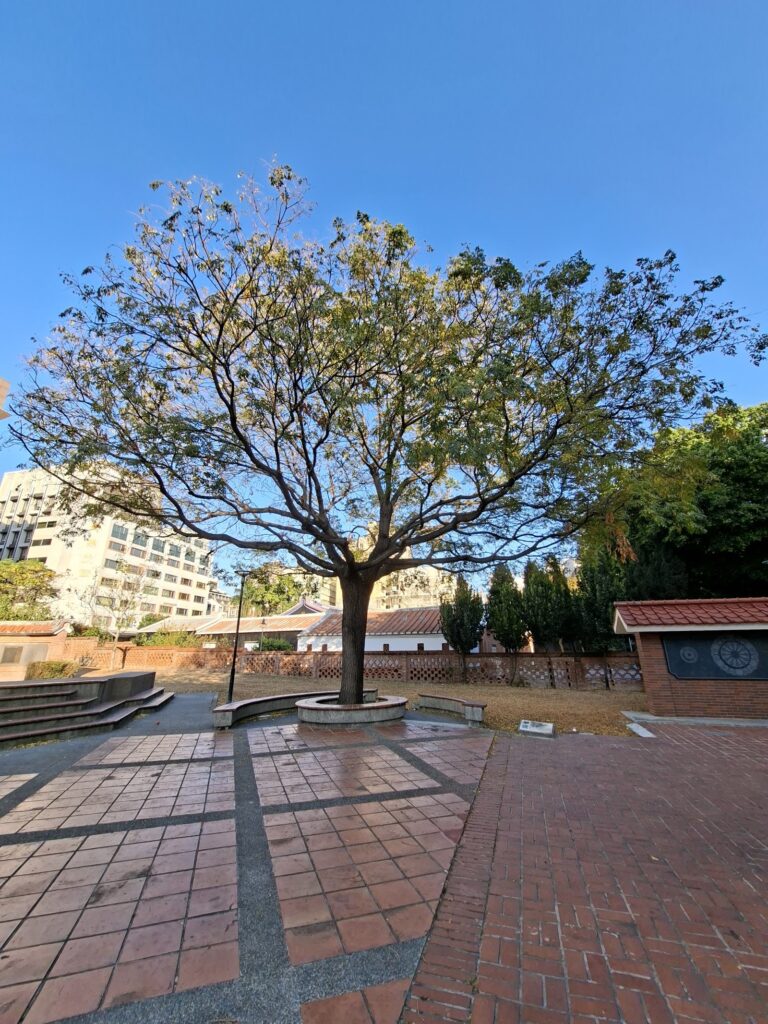 西屯張廖家廟－中庭老樹下紅磚鋪地，鬧區裡難得的清幽一角