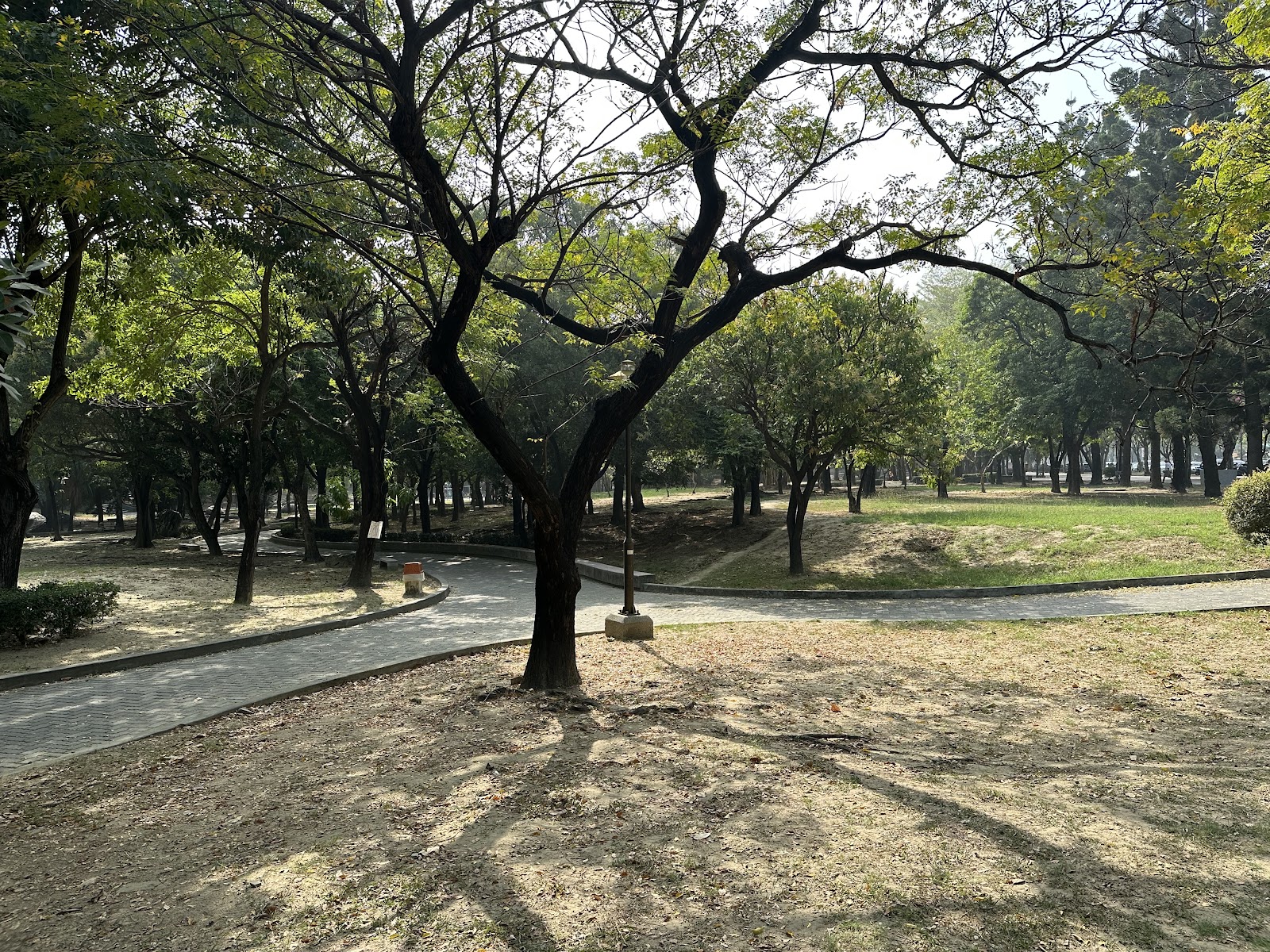 東寧運動公園林蔭步道與草地