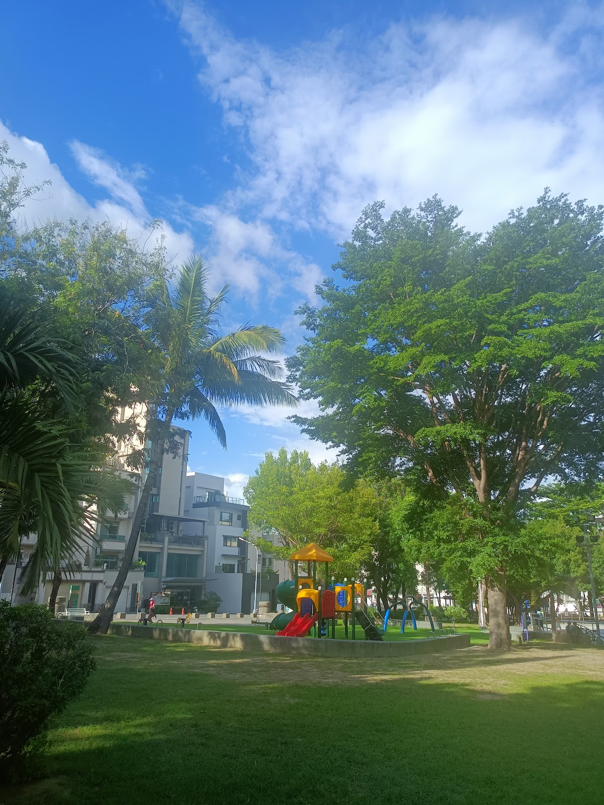 千禧公園溜滑梯遊樂設施搭配椰子樹