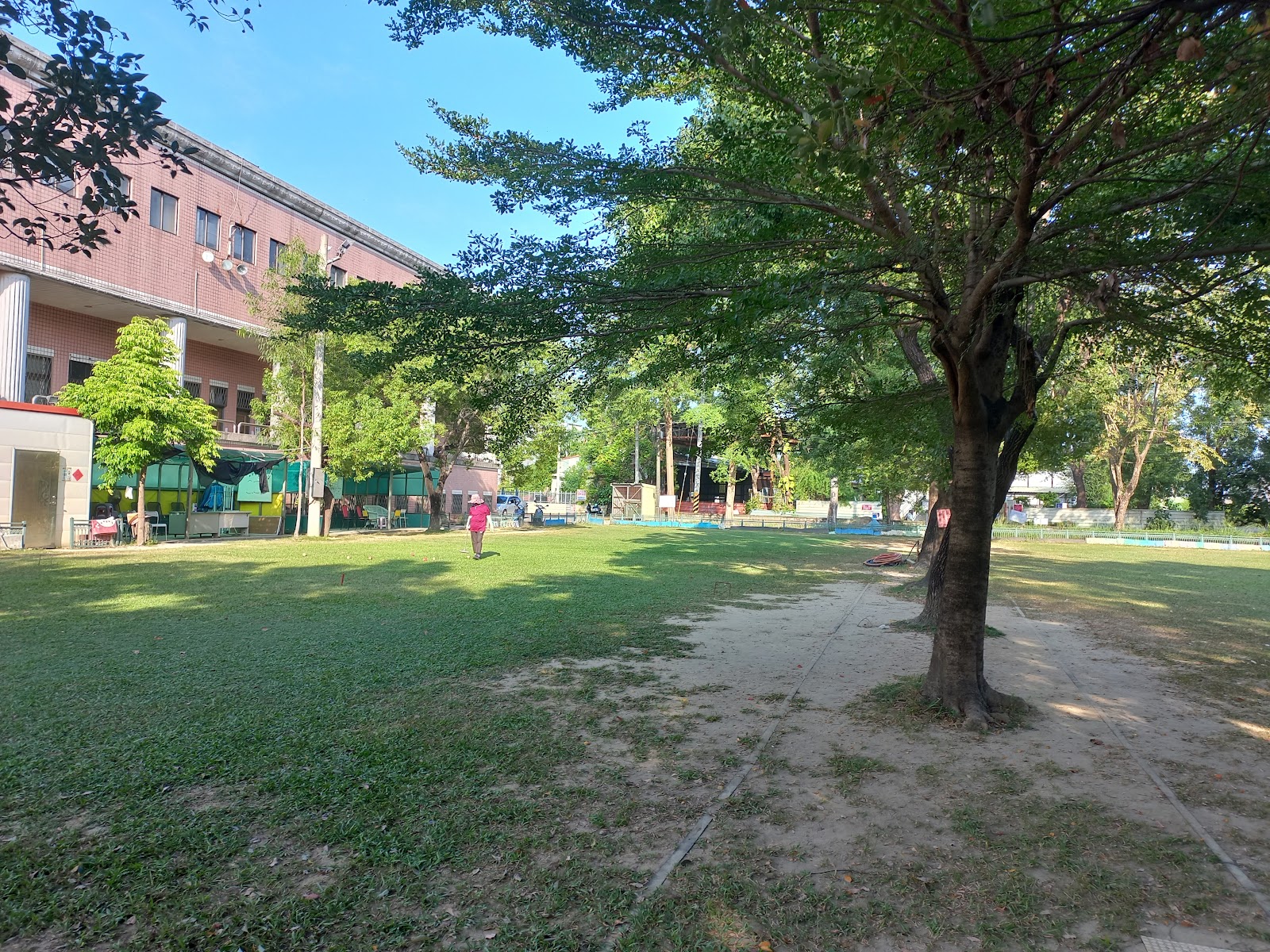 仁德運動公園大草坪與老樹