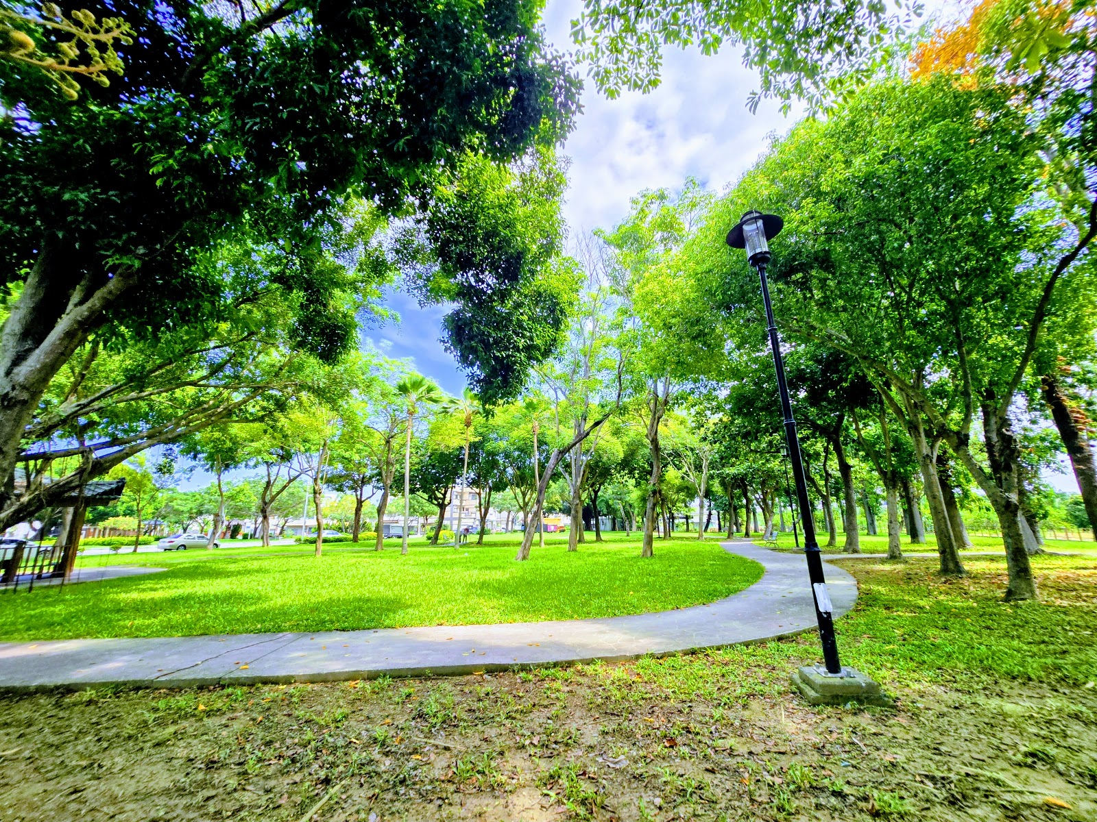 閱之森公園－草坪與林蔭步道景致
