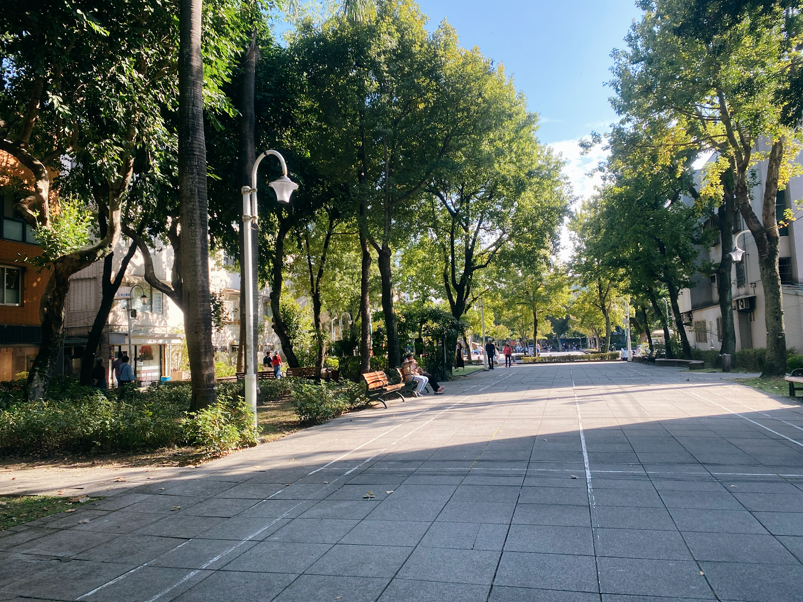 台北松山區民生社區民生公園－民生公園林蔭步道，雙排大樹夾道