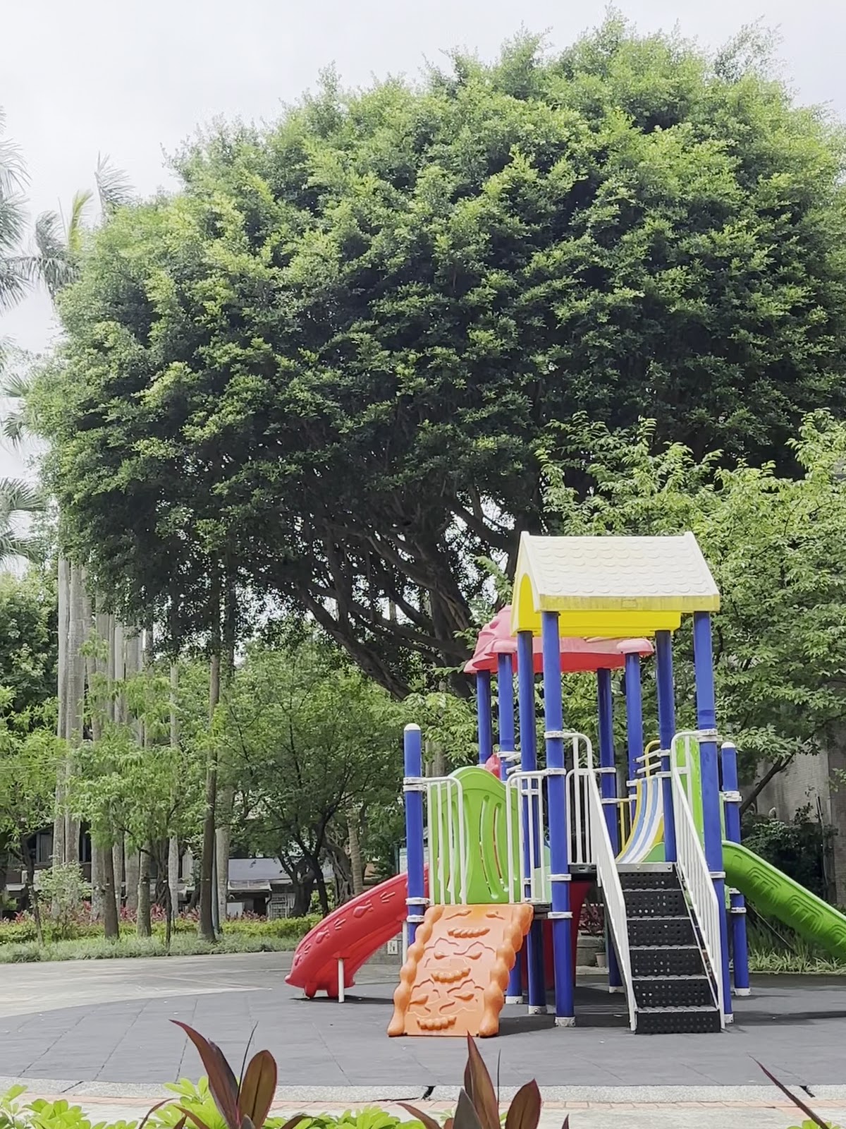 台北松山區民生社區新中公園－新中公園彩色兒童遊戲場組合滑梯