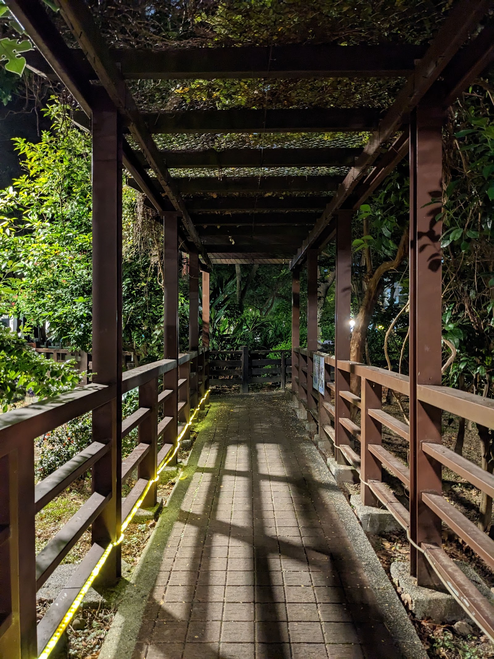 台北松山區民生社區富民生態公園－富民生態公園木棧道貫穿綠蔭廊架