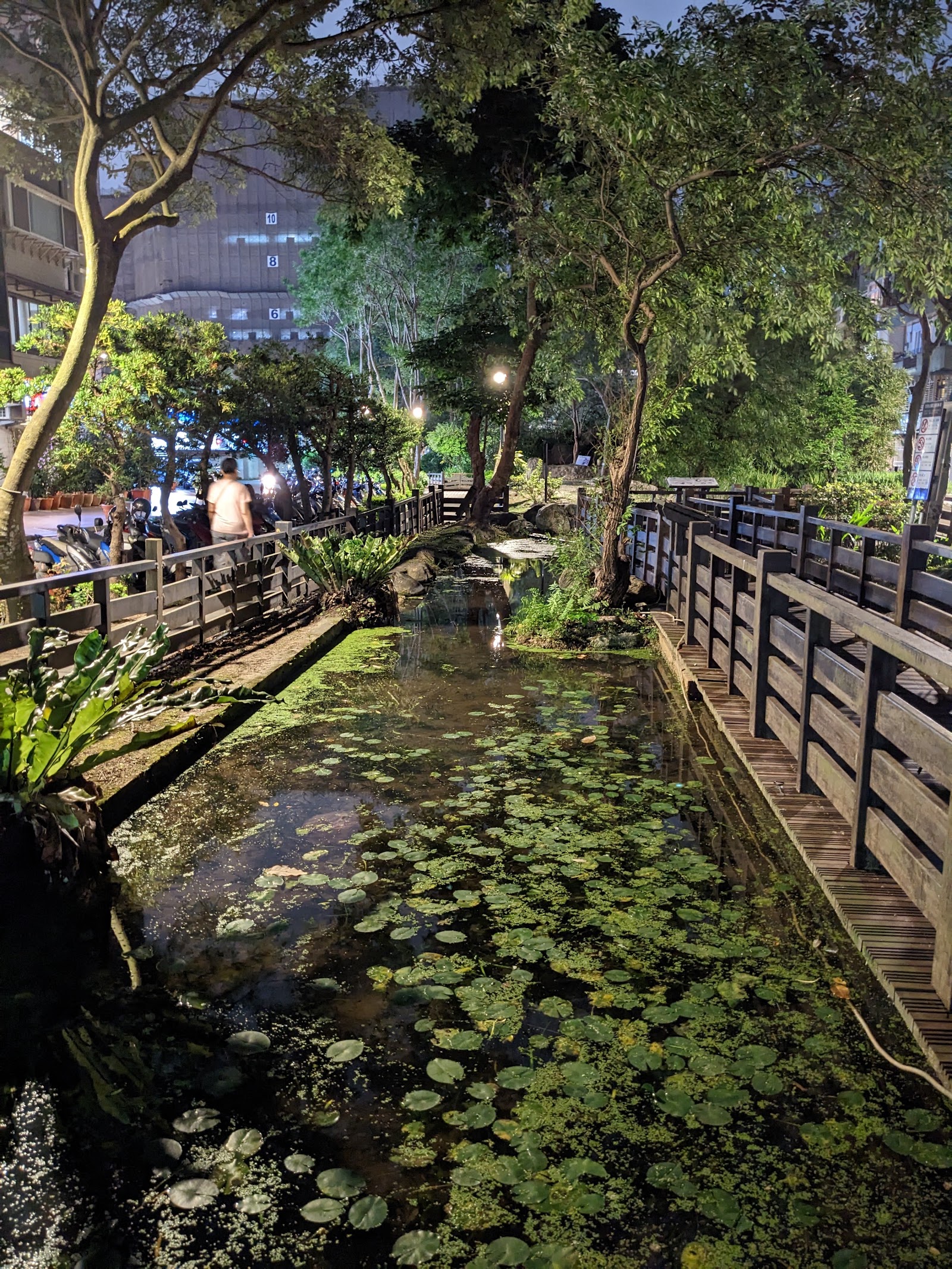 台北松山區民生社區富民生態公園－富民生態公園生態池睡蓮夜拍
