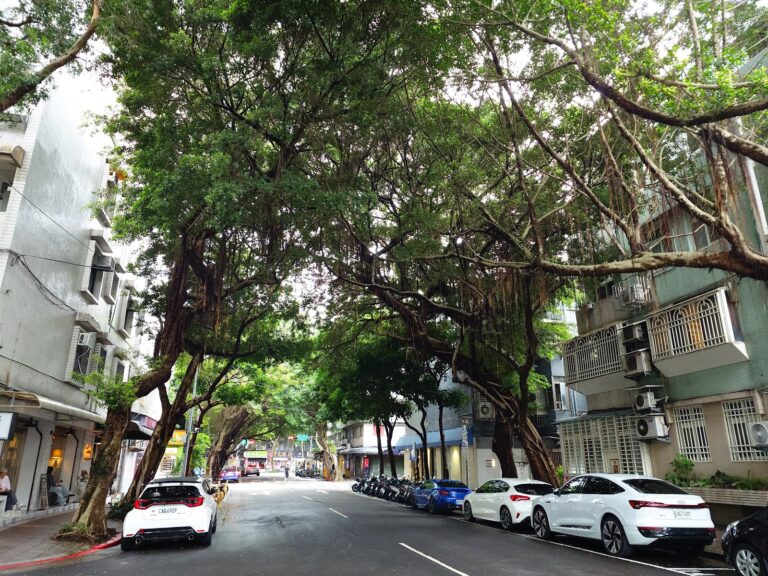 台北松山區民生社區民生公園-民生社區巷弄綠色隧道街景