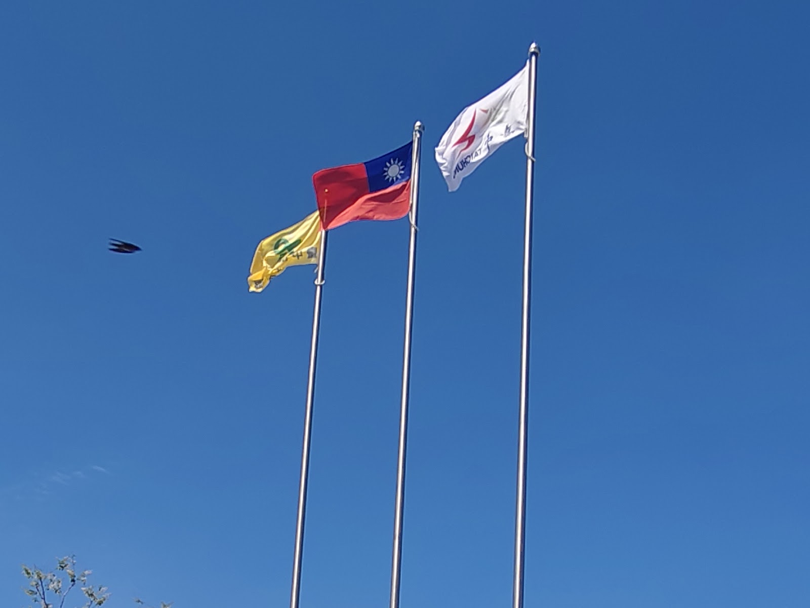 台中太平區公所旗桿國旗與市旗