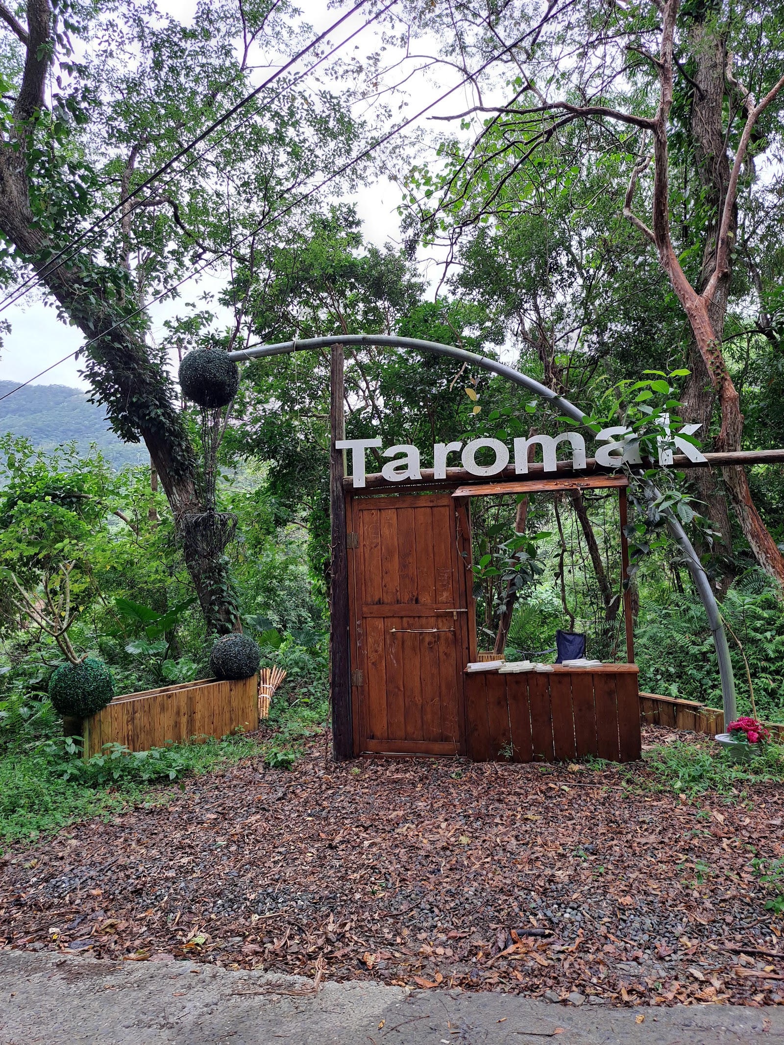Taromak木作拱門入口意象,藤蔓與灌木球造景