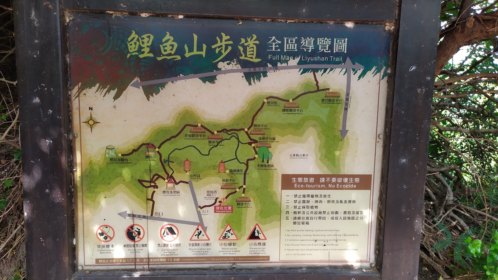 台東鯉魚山公園步道全區導覽圖