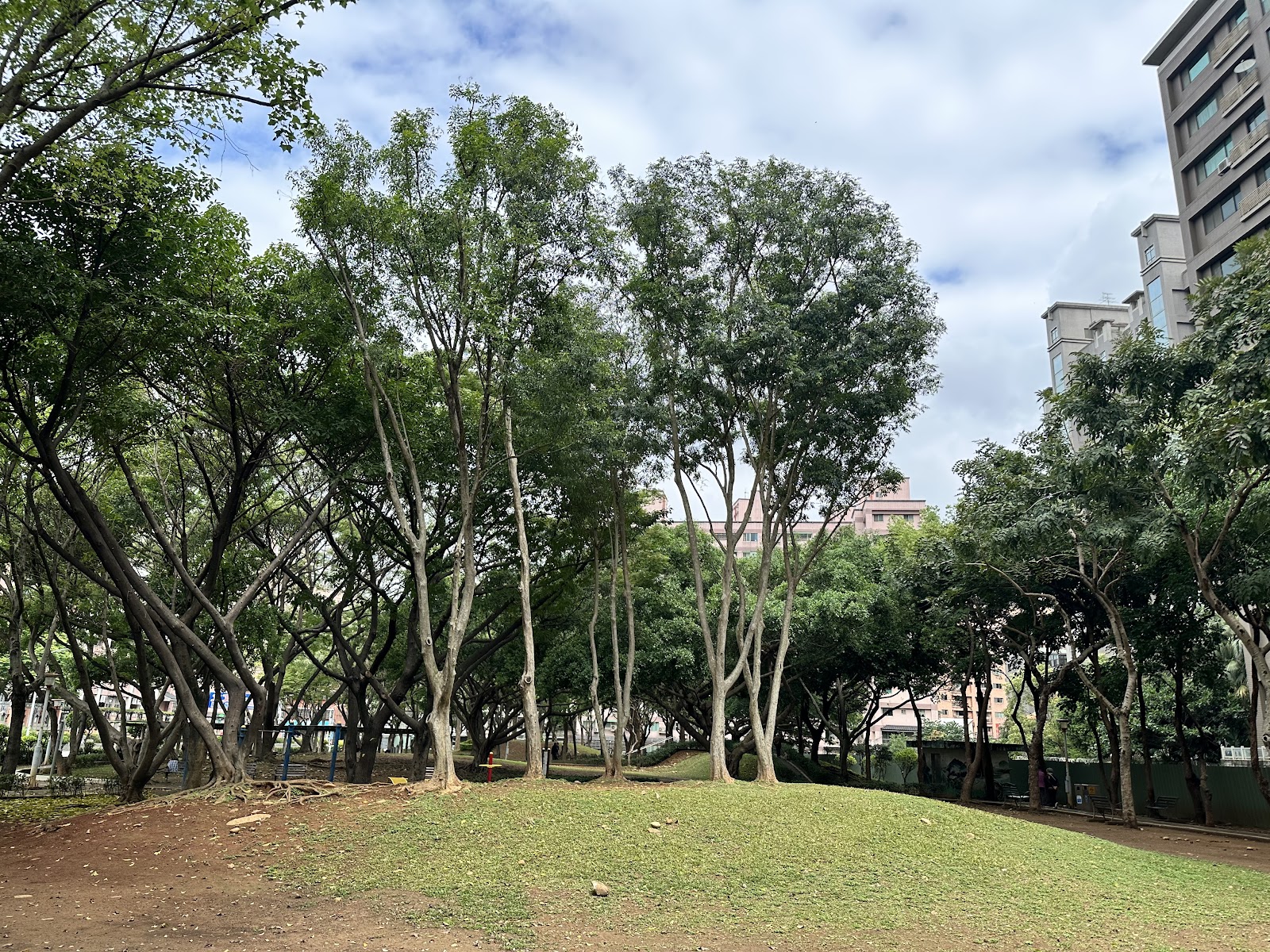 同德環保公園林木草坪景觀藍天白雲